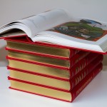 Libros y catálogos profesionales: tu mejor imagen